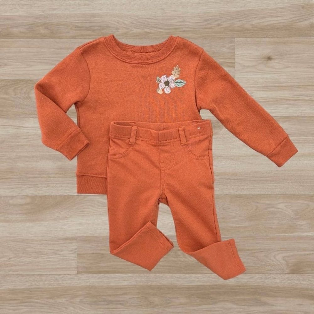 Baby Girl Fall Outfit Set 18 months